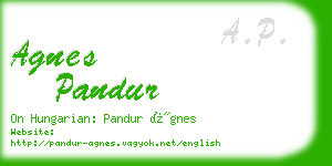 agnes pandur business card